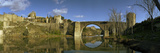 Arch Bridge across a River  San Martin Bridge  Tagus River  Toledo  Castilla La Mancha  Toledo P
