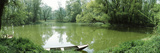 Riverside Forest  Danube River  Lower Austria  Austria