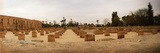 Courtyard of the Koutoubia Mosque in Marrakesh  Morocco