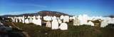 Cemetery in Fez  Morocco