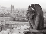 Gargoyle Statue at a Cathedral  Notre Dame  Paris  Ile-De-France  France