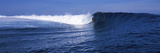 Surfer in the Sea  Tahiti  French Polynesia