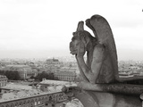 Gargoyle Statues at a Cathedral  Notre Dame  Paris  Ile-De-France  France