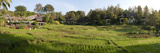 Rice Fields in Front of Villas  Four Seasons Resort  Chiang Mai  Chiang Mai Province  Thailand