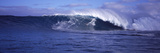 Surfer in the Ocean  Maui  Hawaii  USA