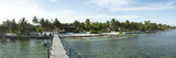 Pier in the Sea  Palapa Bar  Corozal District  San Pedro  Ambergris Caye  Belize