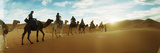 Tourists Riding Camels Through the Sahara Desert Landscape Led by a Berber Man  Morocco