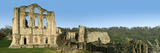 Old Ruin of an Abbey  Rievaulx Abbey  North Yorkshire  England