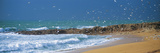 Waves Breaking on the Coast  Morbihan  Brittany  France