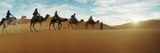 Tourists Riding Camels Through the Sahara Desert Landscape Led by a Berber Man  Morocco