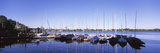 Reflection of Boats in a Lake  Alster Lake  Hamburg  Germany