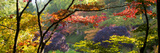 Trees in a Garden  Butchart Gardens  Victoria  Vancouver Island  British Columbia  Canada