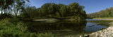 Riverside Forest  Danube River  Lower Austria  Austria