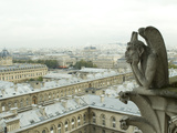 Gargoyle Statue at a Cathedral  Notre Dame  Paris  Ile-De-France  France