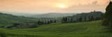 Trees on a Hill  Monticchiello Di Pienza  Val D'Orcia  Siena Province  Tuscany  Italy