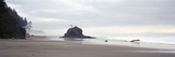 Coast La Push Olympic National Park WA
