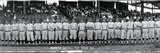 Washington Baseball Team 1913
