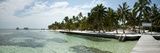 Palm Trees on the Beach  Victoria House  Corozal District  San Pedro  Ambergris Caye  Belize