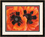 Oriental Poppies  1928