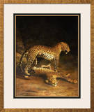 Two Leopards Lying in the Exeter Exchange  1808