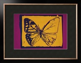 Vanishing Animals: Butterfly  c1986 (Yellow on Purple)