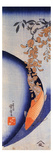 Red Carp under Wisteria