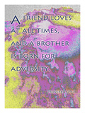 Proverbs 17:9