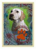 Labrador Retriever 2