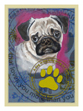 Pug
