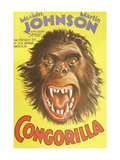 Congorilla