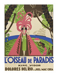 Bird of Paradise "L'Oiseau De Paradis"