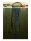 Portuguese Man O' War