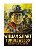 Tumbleweeds