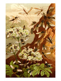 Bees