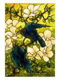 Hibiscus and Parrots