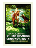 Shadows of the North