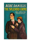 The Splendid Crime