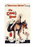 The Camel's Hump