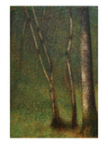 Forest at Pont Aubert