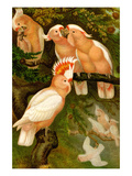 Leadbeater Cockatoo