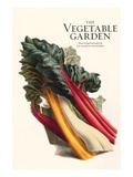The Vegetable Garden