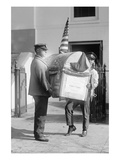 Harding Turkey Delivered to the White House