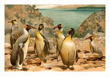 Penguins