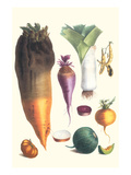 Various Vegetables