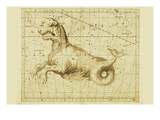 Taurus