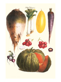 Vegetables: Melon  Purple Carrot  Cherry Tomatoes  Onions  Turnip  Leek