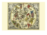 Planisphaerium Stellatum Boreale