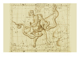 Orphiucus and Serpens
