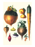 Tubers II
