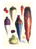 Tubers III